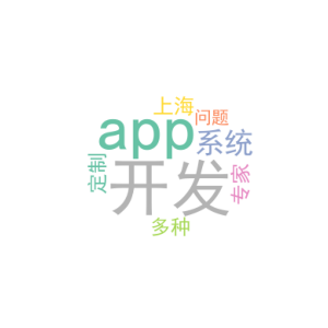 app系统开发_上海APP开发定制专家_多种问题