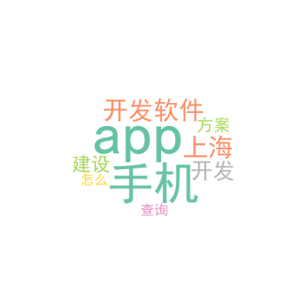 手机app开发软件_上海app开发建设方案_怎么查询